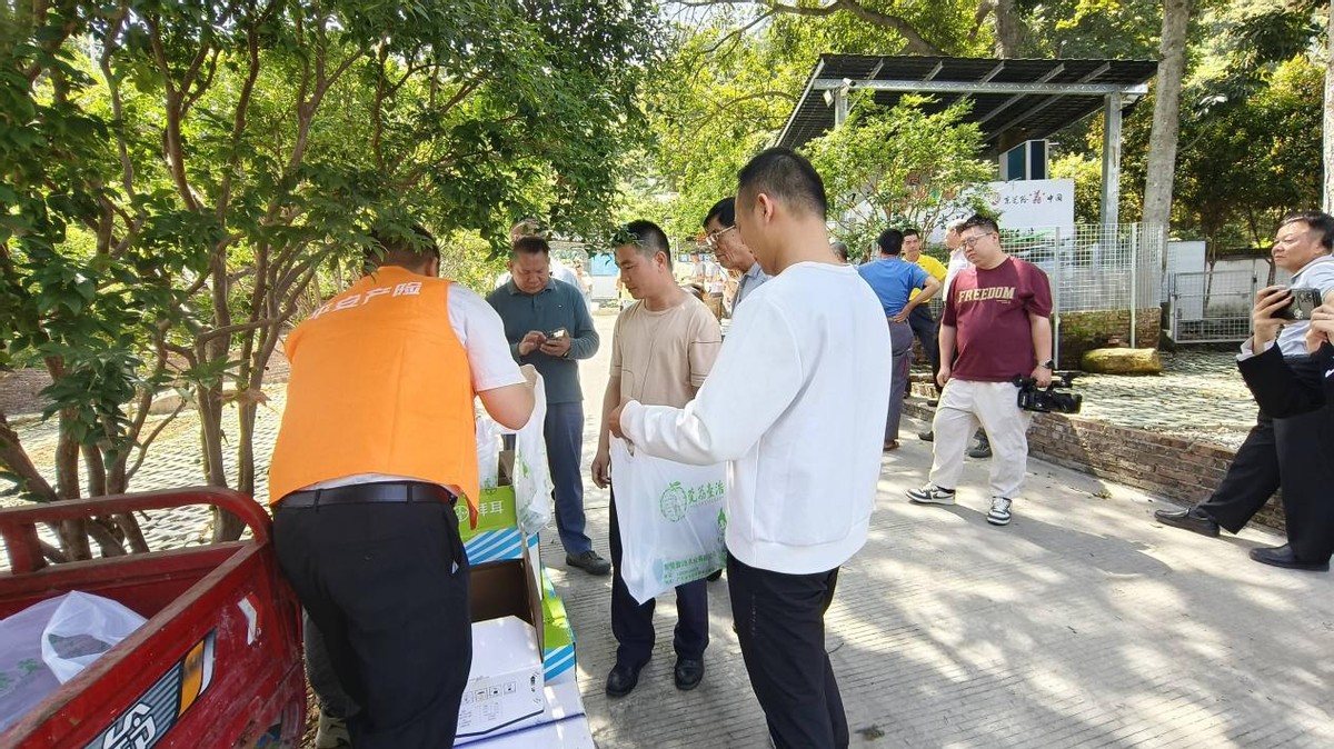 平安产险东莞分公司创新政企合作，助农增收显担当